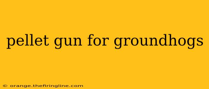 pellet gun for groundhogs