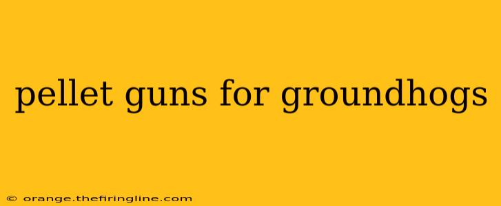 pellet guns for groundhogs