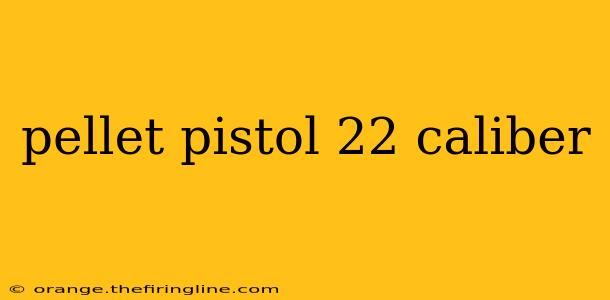 pellet pistol 22 caliber