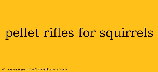 pellet rifles for squirrels