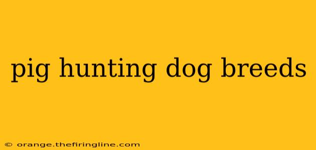 pig hunting dog breeds