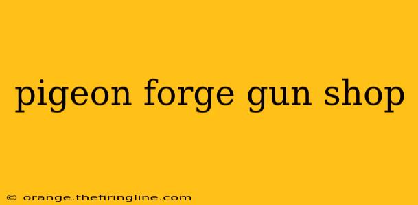 pigeon forge gun shop