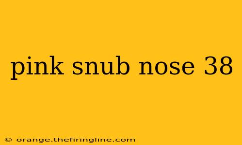 pink snub nose 38