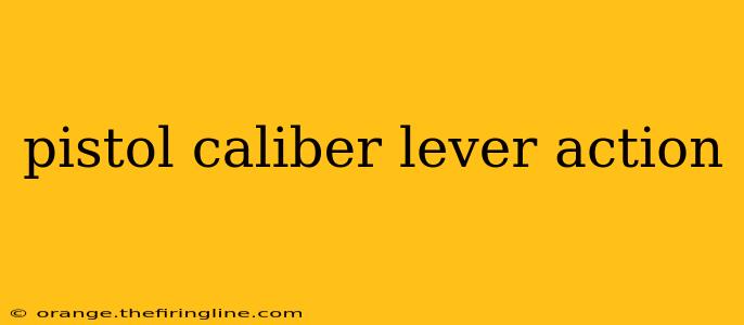 pistol caliber lever action