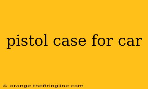 pistol case for car