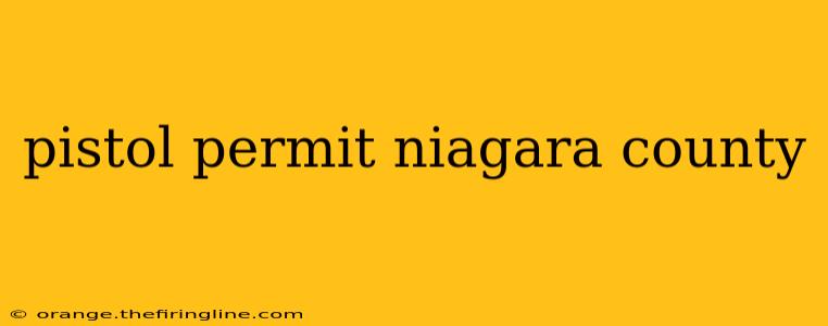 pistol permit niagara county