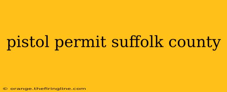 pistol permit suffolk county