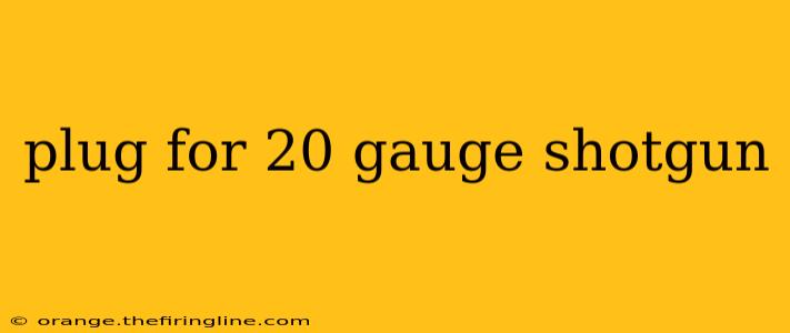 plug for 20 gauge shotgun