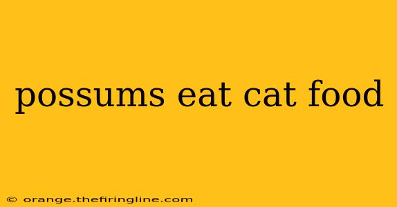 possums eat cat food