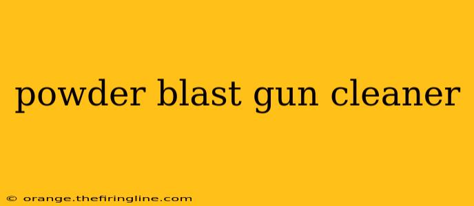 powder blast gun cleaner