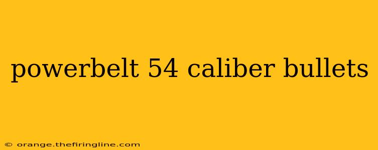 powerbelt 54 caliber bullets