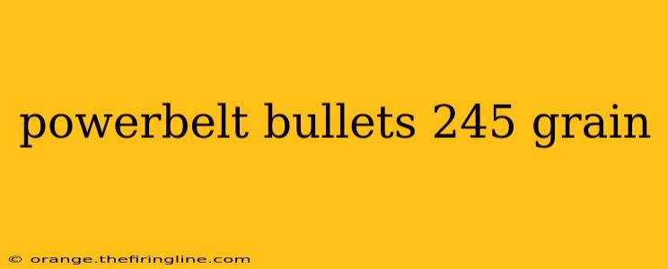 powerbelt bullets 245 grain