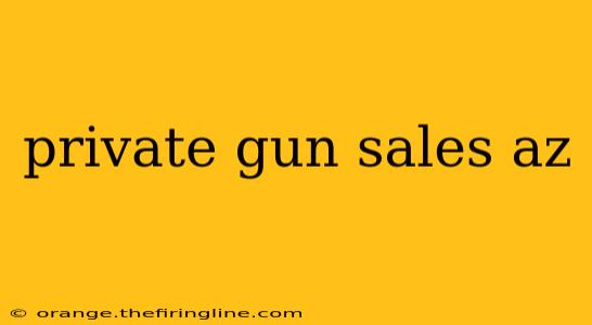 private gun sales az