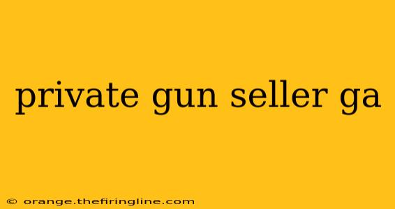 private gun seller ga