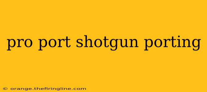 pro port shotgun porting