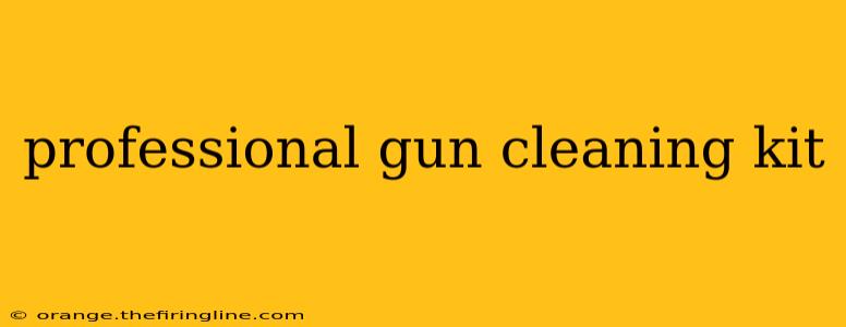 professional gun cleaning kit