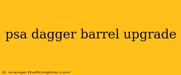 psa dagger barrel upgrade