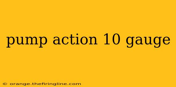 pump action 10 gauge