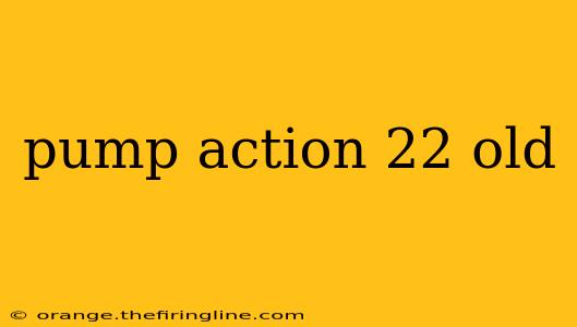 pump action 22 old