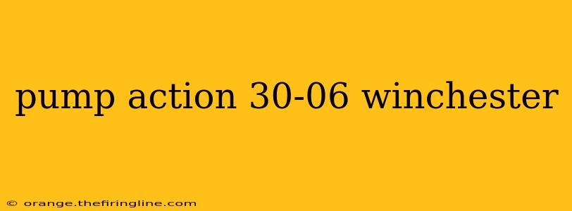 pump action 30-06 winchester