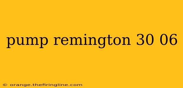 pump remington 30 06