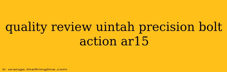 quality review uintah precision bolt action ar15