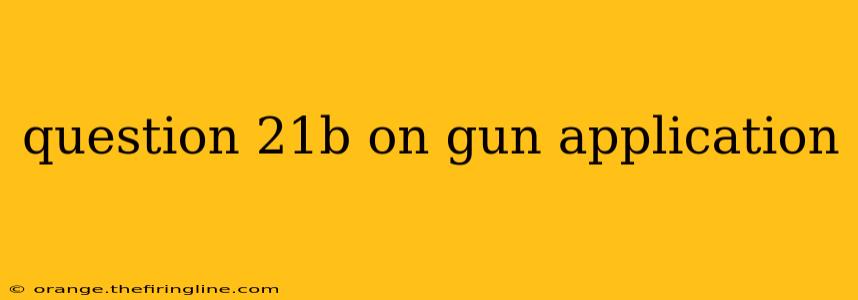 question 21b on gun application