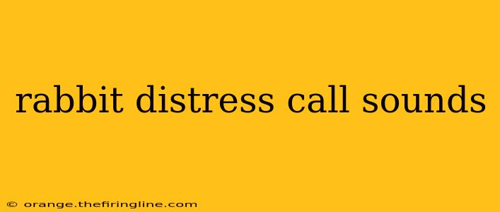 rabbit distress call sounds