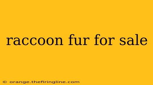 raccoon fur for sale