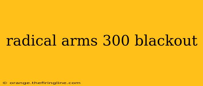 radical arms 300 blackout