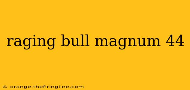 raging bull magnum 44