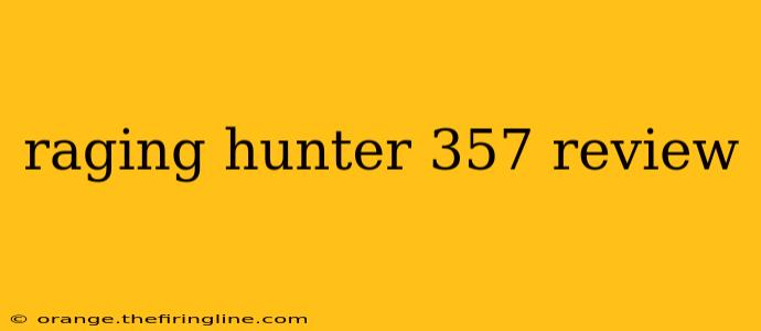 raging hunter 357 review