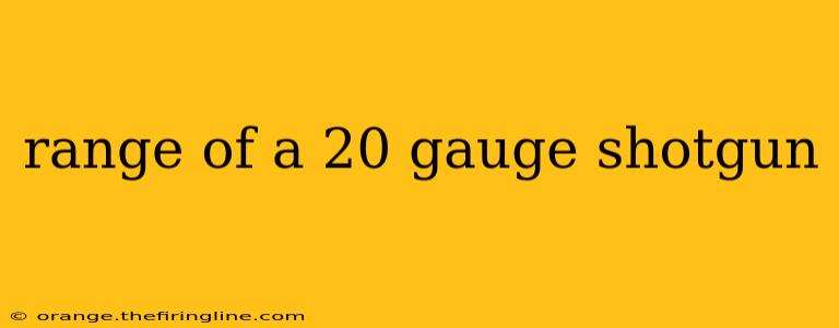 range of a 20 gauge shotgun