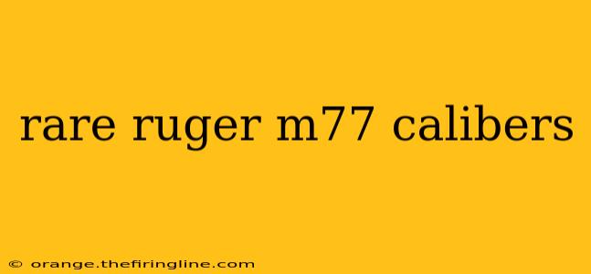 rare ruger m77 calibers