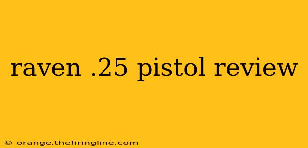 raven .25 pistol review