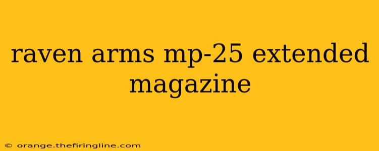 raven arms mp-25 extended magazine