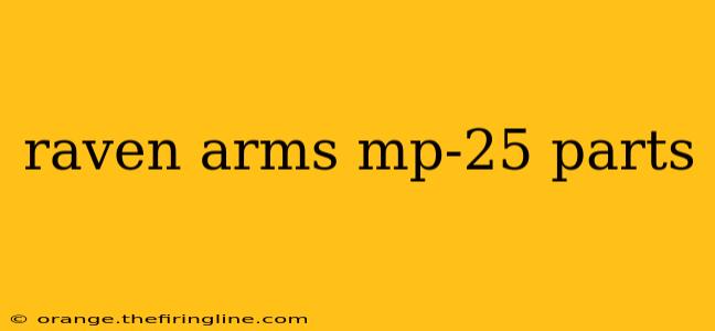 raven arms mp-25 parts