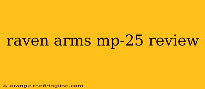 raven arms mp-25 review