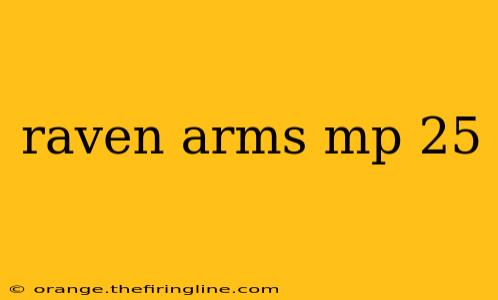 raven arms mp 25