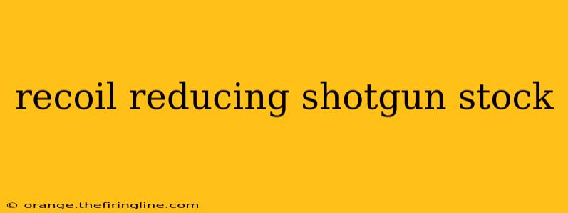 recoil reducing shotgun stock