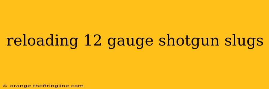 reloading 12 gauge shotgun slugs