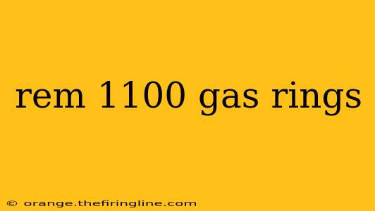 rem 1100 gas rings