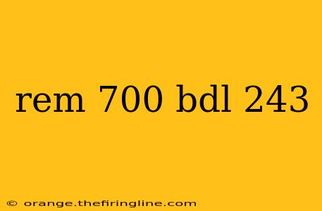 rem 700 bdl 243