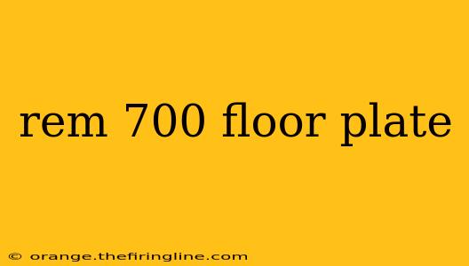 rem 700 floor plate