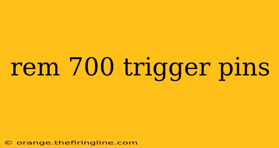 rem 700 trigger pins