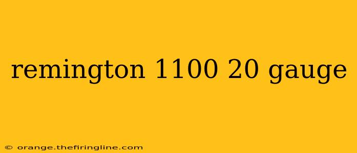 remington 1100 20 gauge