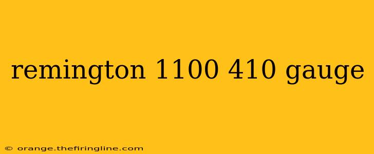 remington 1100 410 gauge