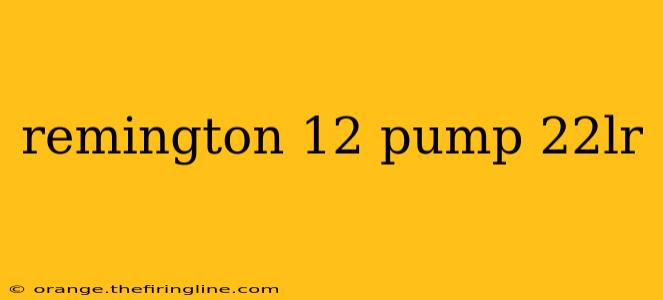 remington 12 pump 22lr