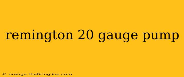 remington 20 gauge pump