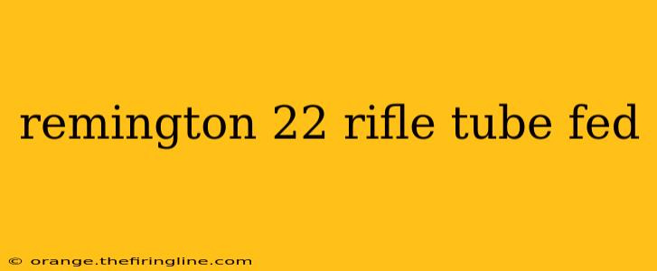 remington 22 rifle tube fed